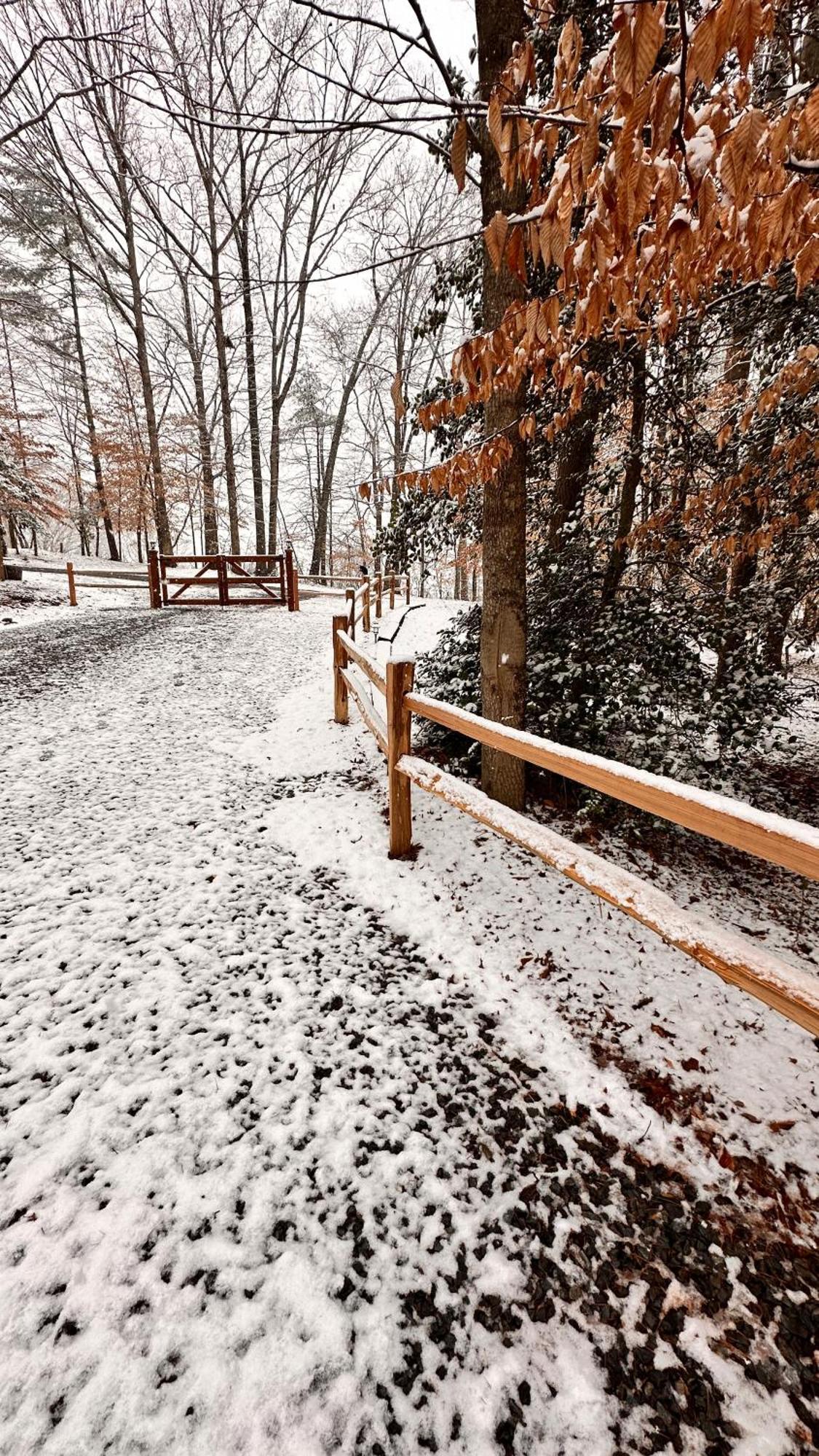 Appalachian Mountain Cabin-Updated-Private-Rafting On Ocoee River-Hiking-Waterfalls-Wifi-Pets Ok Murphy Exterior foto
